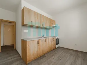 Pronájem bytu 1+1, Ostrava, Mariánskohorská, 36 m2