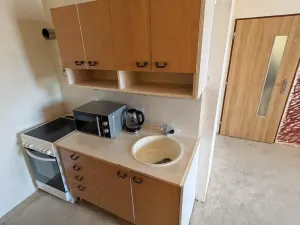 Prodej bytu 2+kk, Most, Františka Malíka, 39 m2