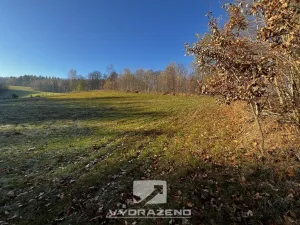 Prodej louky, Pulečný, 1039 m2