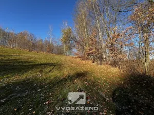 Prodej louky, Pulečný, 1039 m2