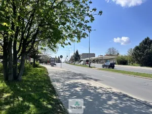 Pronájem bytu 3+1, Praha, Dürerova, 66 m2