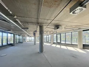 Pronájem kanceláře, Praha, Strakonická, 264 m2