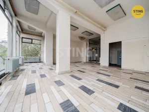 Prodej obchodního prostoru, Ostrava - Hošťálkovice, Hlavní, 950 m2