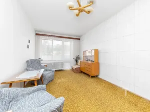 Prodej bytu 2+1, Blansko, Družstevní, 59 m2