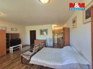 Prodej bytu 1+kk, Beroun - Beroun-Město, Nad Paloučkem, 38 m2