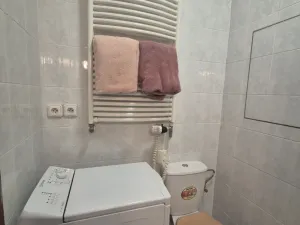 Prodej bytu 1+kk, Beroun - Beroun-Město, Nad Paloučkem, 38 m2