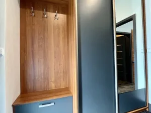 Pronájem bytu 3+kk, Ostrava - Heřmanice, Koněvova, 59 m2