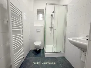 Prodej bytu 2+kk, Ústí nad Labem - Střekov, Purkyňova, 48 m2