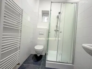 Prodej bytu 2+kk, Ústí nad Labem - Střekov, Purkyňova, 48 m2