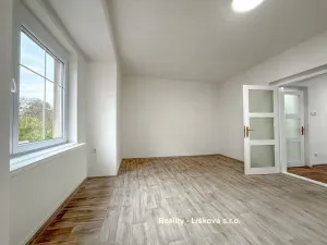 Prodej bytu 2+kk, Ústí nad Labem - Střekov, Purkyňova, 48 m2