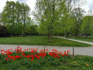 Pronájem bytu 1+kk, Brno, Volejníkova, 23 m2