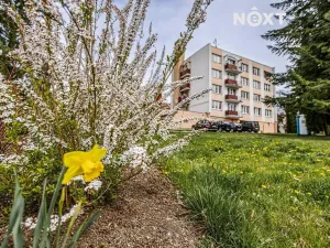 Prodej bytu 3+1, Borovany, Nová, 65 m2