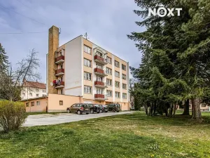 Prodej bytu 3+1, Borovany, Nová, 65 m2