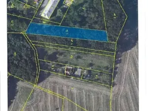 Prodej lesa, Písty, 4820 m2