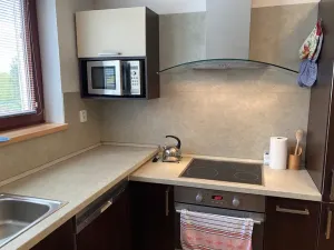 Pronájem bytu 2+kk, Říčany, Leknínová, 50 m2