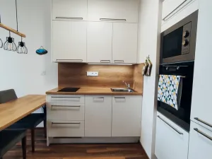 Pronájem bytu 1+kk, Olomouc, Šantova, 28 m2