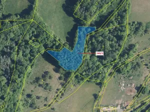 Dražba lesa, Starý Šachov, 4192 m2