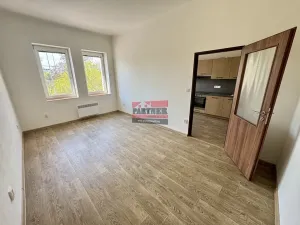 Pronájem bytu 2+1, Tábor, 58 m2