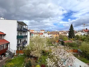 Pronájem bytu 1+kk, Brno, Mikšíčkova, 22 m2