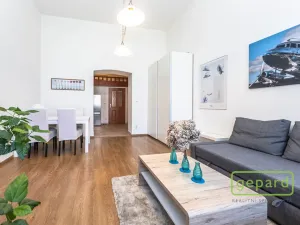 Pronájem bytu 1+kk, Praha, Radlická, 38 m2