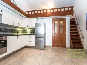 Pronájem bytu 1+kk, Praha, Radlická, 38 m2