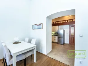 Pronájem bytu 1+kk, Praha, Radlická, 38 m2