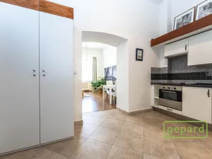 Pronájem bytu 1+kk, Praha, Radlická, 38 m2