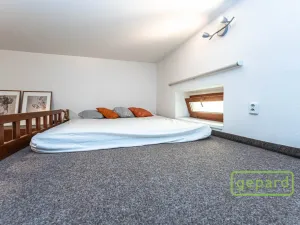 Pronájem bytu 1+kk, Praha, Radlická, 38 m2