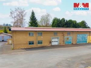 Pronájem výrobních prostor, Domažlice - Bezděkovské Předměstí, Masarykova, 770 m2