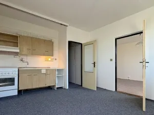 Prodej bytu 1+1, Louny, Březinova, 36 m2