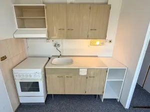 Prodej bytu 1+1, Louny, Březinova, 36 m2