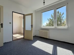 Prodej bytu 1+1, Louny, Březinova, 36 m2