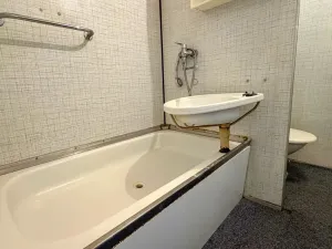 Prodej bytu 1+1, Louny, Březinova, 36 m2