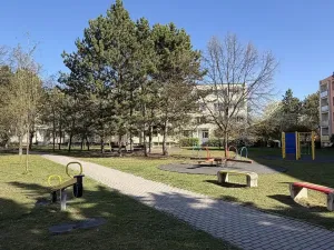 Prodej bytu 1+1, Louny, Březinova, 36 m2