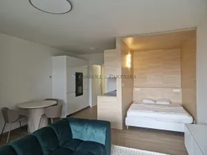 Pronájem bytu 1+kk, Ostrava - Slezská Ostrava, U Hájenky, 38 m2