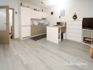 Pronájem bytu 1+kk, Brno - Žebětín, Lišejníková, 35 m2