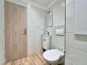 Pronájem bytu 1+1, Ústí nad Labem - Ústí nad Labem-centrum, Stará, 36 m2