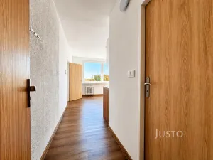 Pronájem bytu 1+1, Ústí nad Labem - Ústí nad Labem-centrum, Stará, 36 m2