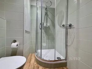 Pronájem bytu 1+1, Ústí nad Labem - Ústí nad Labem-centrum, Stará, 36 m2