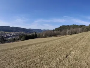 Prodej louky, Ústí nad Orlicí - Kerhartice, 49647 m2