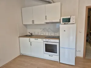 Pronájem bytu 1+kk, Praha - Motol, Kudrnova, 33 m2