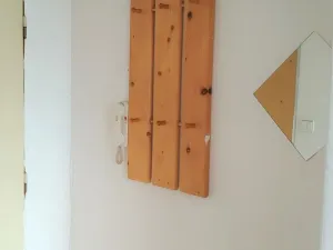 Pronájem bytu 1+1, České Budějovice, J. Opletala, 37 m2