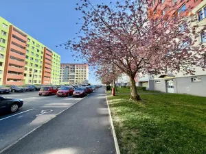 Pronájem komerční nemovitosti, Most, Františka Malíka, 28 m2