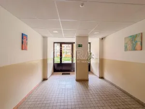 Pronájem bytu 2+kk, České Budějovice - České Budějovice 2, N. Frýda, 42 m2