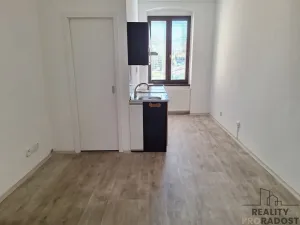 Pronájem bytu 1+1, Děčín, Horská, 39 m2
