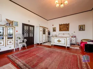 Prodej rodinného domu, Bor - Damnov, 310 m2