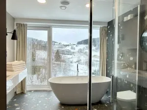 Prodej apartmánu, Dolní Morava, 49 m2