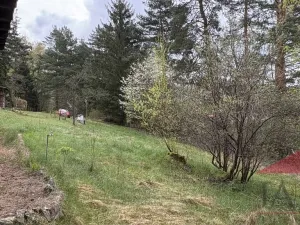 Pronájem chaty, Chlistov, 60 m2