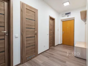 Pronájem bytu 2+kk, Staré Město, Mahenova, 45 m2