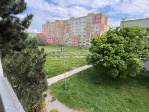 Pronájem bytu 3+1, Olomouc, Trnkova, 82 m2